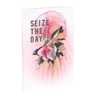 Mini Notebook Seize the Day!